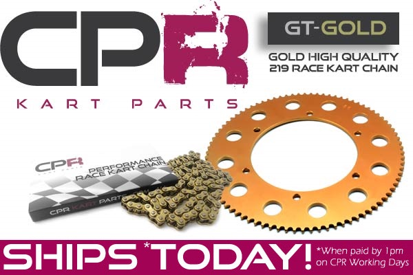 Go Kart CPR GT-GOLD Chain and Sprocket BUNDLE 219 Pitch BRAND NEW