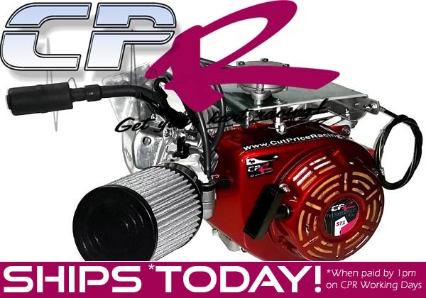 4-Stroke Engine 10+hp 192cc COMPETITION RL + Billet Conrod 26lb Springs Chromoly Push-rods 6100rpm Limited (12T Clutch)
