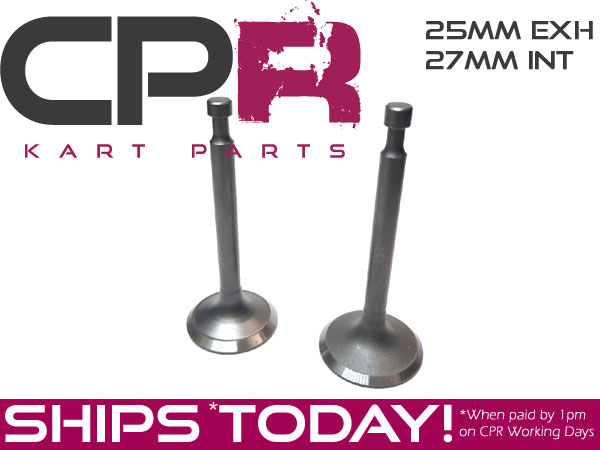 Valve 27mm INLET and 25mm EXHAUST set Stock Clone type Suit Big Valve Head Honda Clone GX200